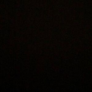 Meet your Posher, Lucy